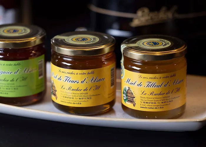 Meilleurs hôtels à Strasbourg avec piscine