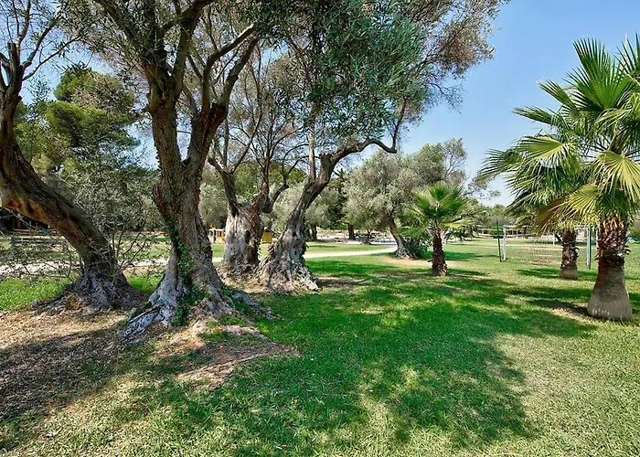 Explorez les meilleurs hébergements de Toulon-Hyères